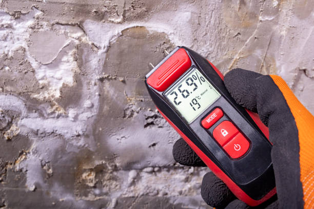 Best Crawl Space Mold Removal  in Mshall, AR