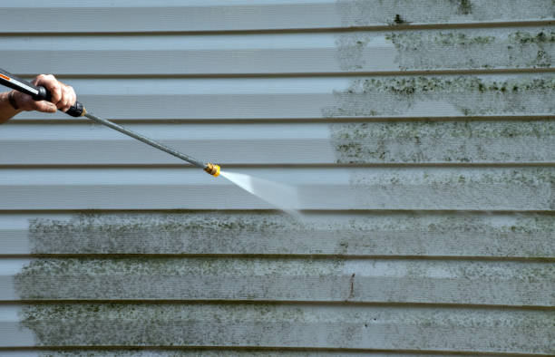 Best Mold Remediation Experts  in Mshall, AR