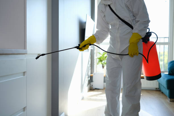 Best Professional Mold Removal  in Mshall, AR